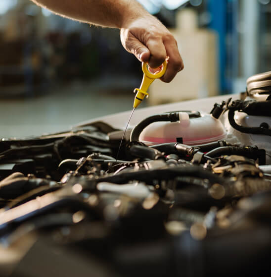 European Auto Oil Change Service