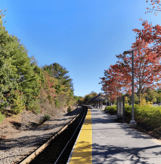 European Auto Repair & Service Bridgewater