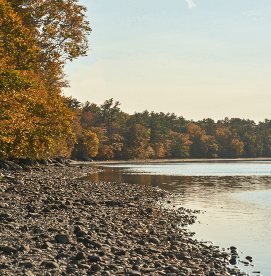 European Auto Repair & Service Bridgewater